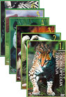 Enciklopedija životinja 1-6 (6xDVD)
