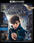 Fantastic Beasts And Where To Find Them 4K UHD (4K UHD Blu-ray + Blu-ray)