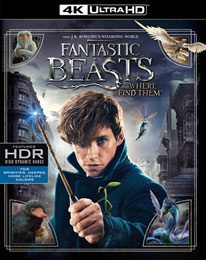 Fantastic Beasts And Where To Find Them 4K UHD (4K UHD Blu-ray + Blu-ray)