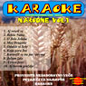 Karaoke - narodne vol. 1 (CD Rom)