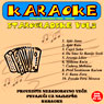 Karaoke - starogradske vol. 3 (CD Rom)