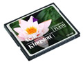 Kingston Compact Flash kartica CF/4GB