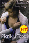 Piknik u Topoli (DVD)
