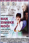 San zimske noći (DVD)