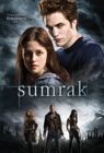 Sumrak (DVD)