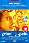 Grlom u Jagode - 10 epizoda (3xDVD)