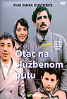 Отац на службеном путу (DVD)