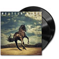 Bruce Springsteen - Western Stars [Vinyl] (2x LP)